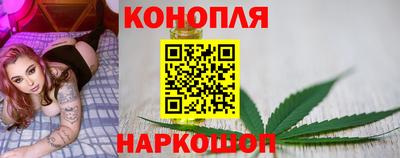 прущие крисы Славгород