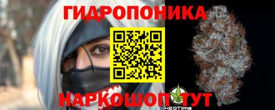 гидропоника Славянск-на-Кубани