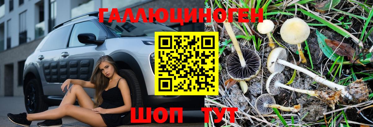 Галлюциногенные грибы GOLDEN TEACHER Алейск