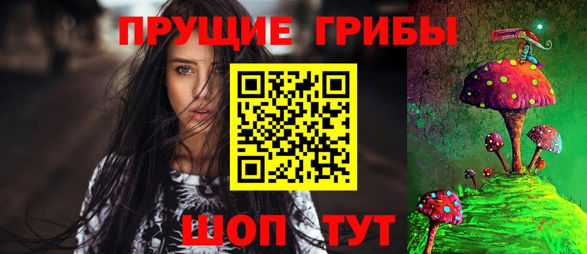 Алейск  Псилоцибиновые грибы MAGIC MUSHROOMS  Вход с VPN 